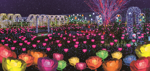 日本三大イルミネーション！あしかがフラワーパークのイルミネーションイベント『光の花の庭～Flower Fantasy2020～』2021年2月7日まで開催中！